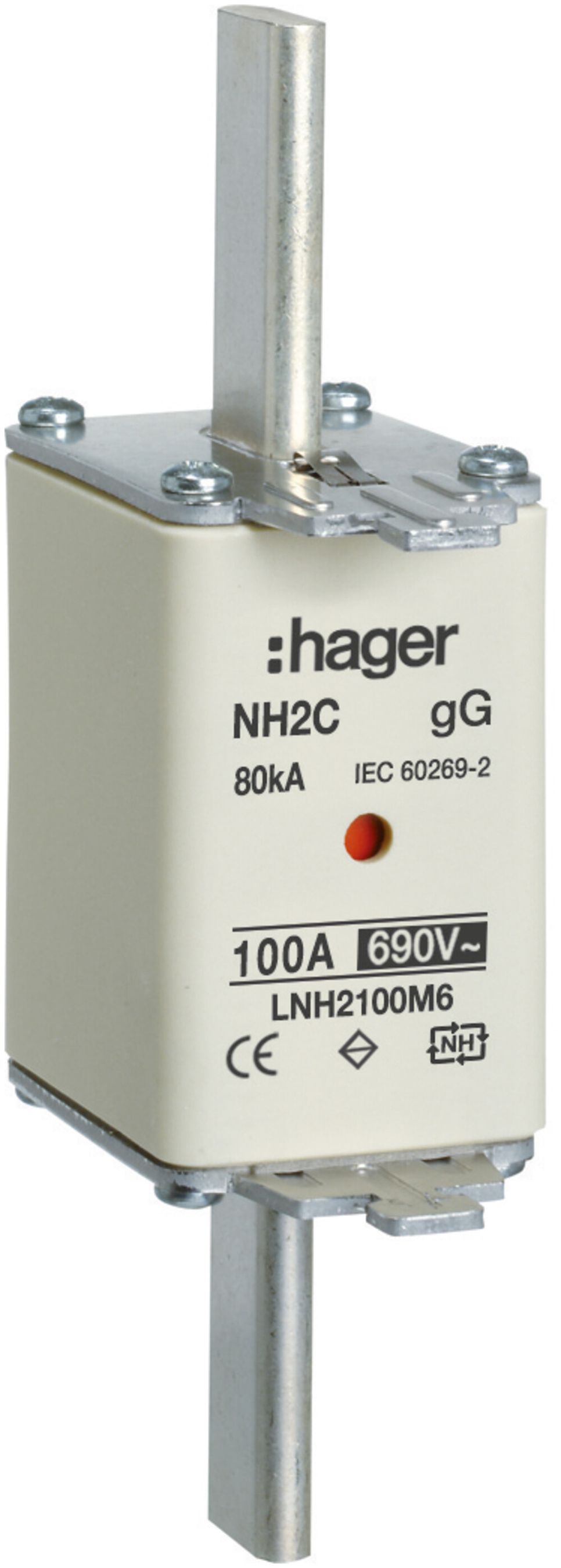 Fusibile HPC Hager DIN2c 690VAC 100A gG/gL segnalatore doppio inossidabile