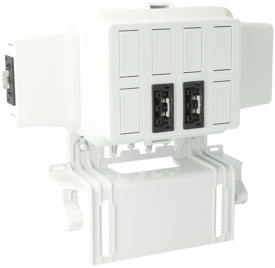 Scatola AGRO, in: 3P ne, out: 2×3P ne L1, WAGO