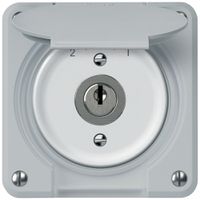Schlüsselschwenktaster robusto 1P 2NO 2CO 20A 250V 86×86mm grau
