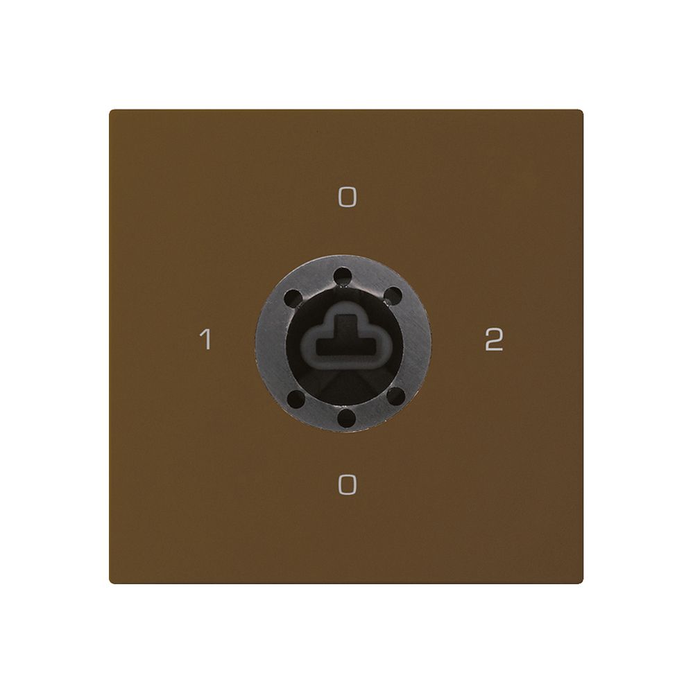 Intérieur interrupteur à clé kallysto 2/1L brun p.serrure de sûreté s.cylindre