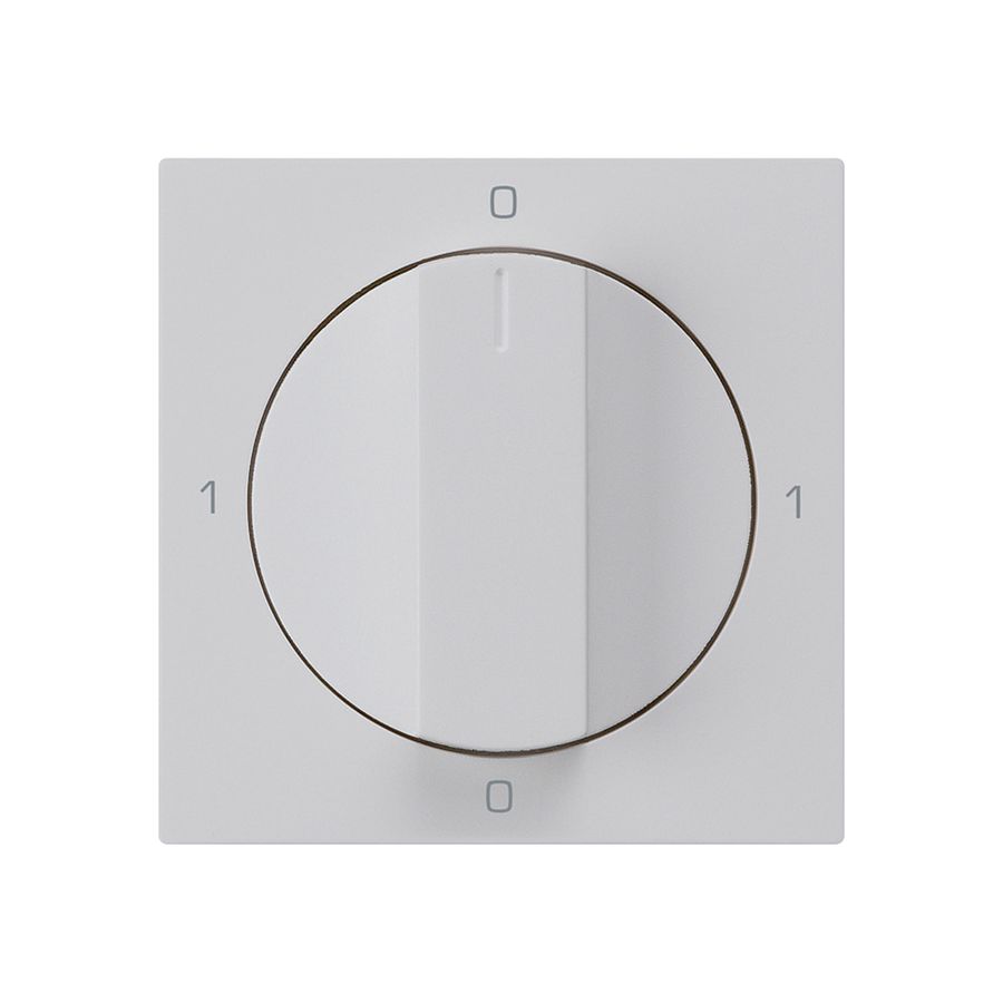 Einsatz zu Drehschalter kallysto 0/2L hellgrau mit Drehgriff