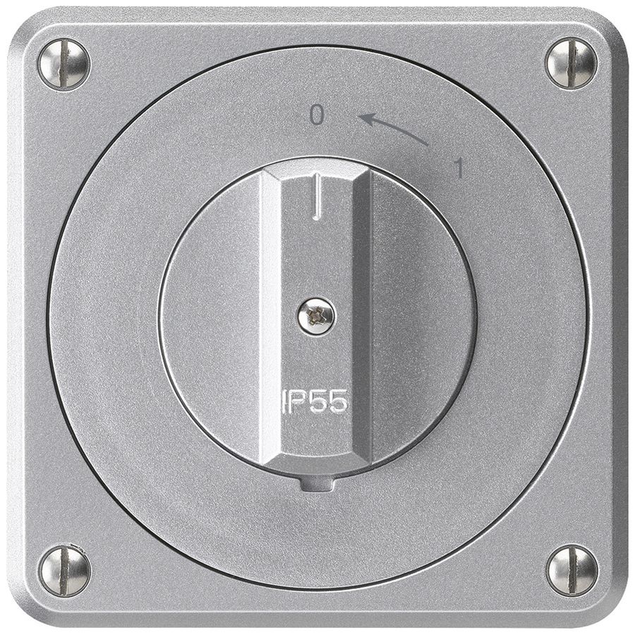 UP-Schwenktaster robusto IP55 aluminium 2P für Kombination