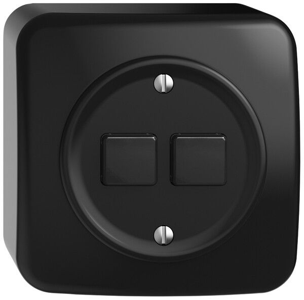 AP-Druckschalter STANDARDdue Wiser m.Nebenstelle 2T 2B schwarz