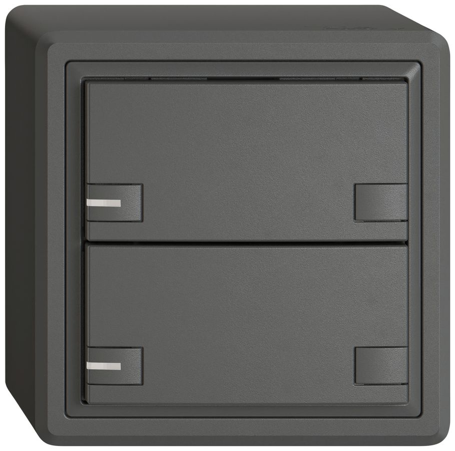 Pulsante universale AP EDIZIO.liv UNI SNAPFIX® 5…48V c.LED blu 2× com.2T grs