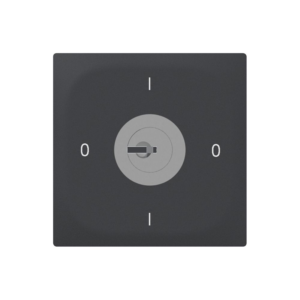 UP-Drehschalter SIDUS E 0/2L SS anthrazit