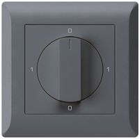 UP-Drehschalter kallysto.line 0/3L anthrazit mit Drehgriff