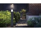 Borne lumineuse LED Philips Arbour 800lm 3000K IP44 770mm anthracite