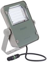 LED-Strahlerleuchte CoreLine Tempo, BVP110 LED42/NW S, grau