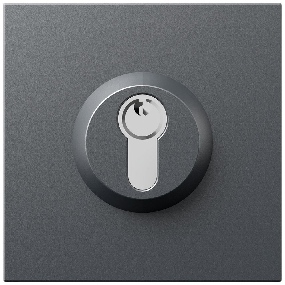 Schloss-Modul Siedle systemunabhängig 0…48V grau