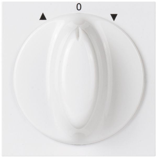 UP-Schwenktaster MOS 2×A/1L weiss Auf->0<-Ab