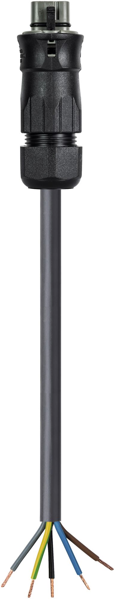 Anschlussleitung Wieland RST25I5KS-S 60S 30BG03 3m 5L 6mm² betongrau