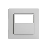 Frontset EDIZIOdue F für Bewegungsmelder pirios 180 R eco plus, hellgrau