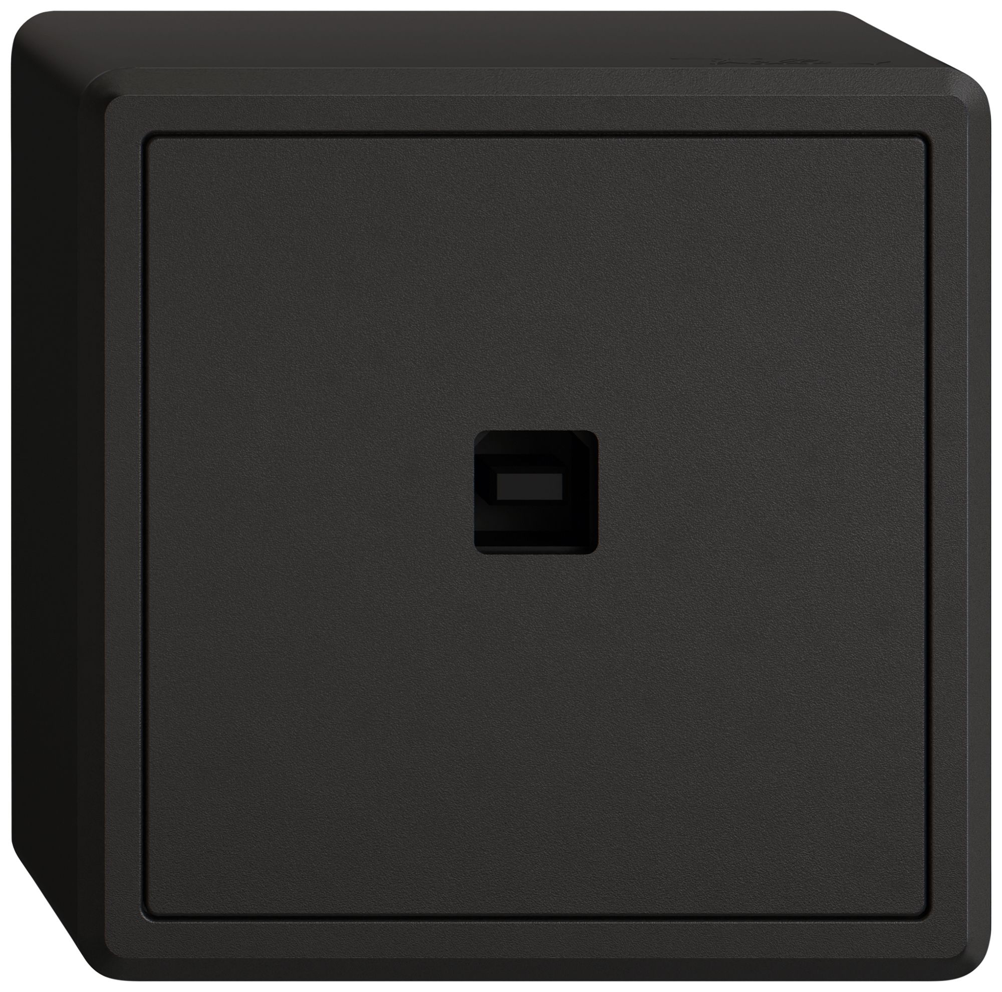 AP-USB-Datenschnittstelle KNX EDIZIO.liv SNAPFIX® USB-Buchse Typ B sz