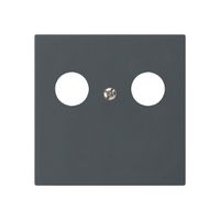Placca frontale kallysto per R&M HWS antracite 2×coass.