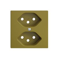 Plaque frontale 2×T13 EDIZIOdue olive