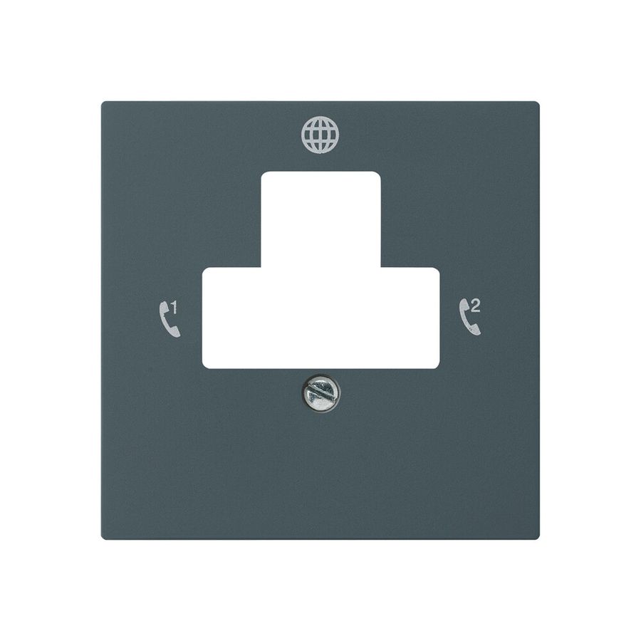 Placca frontale kallysto per presa di ritorno 2 DSL antracite