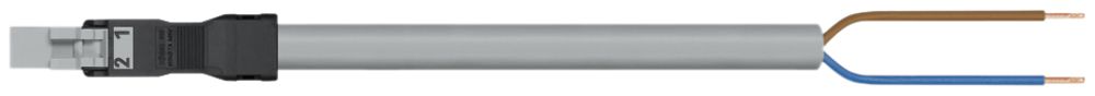 Câble de connexion WAGO 2×1.5mm² 16A 250V 5m cod.B fiche-libre gris