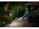 LED-Wegeleuchte myGarden Bustan, 9W 2700K 90×400×220mm IP44 anthrazit