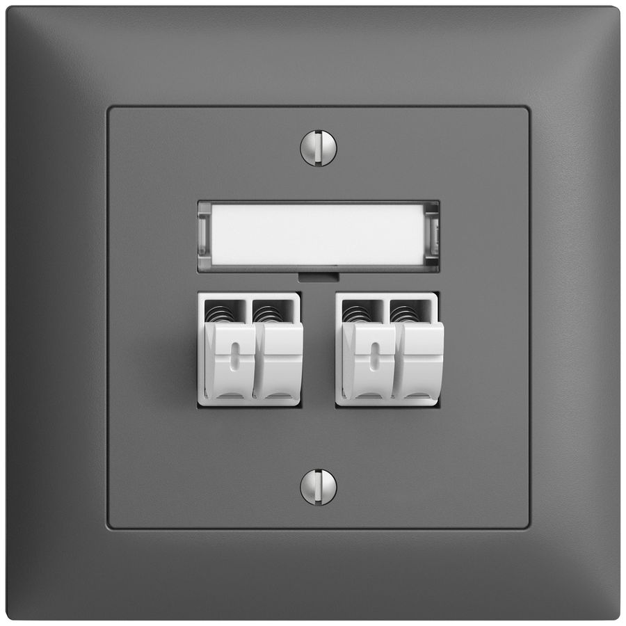 UP-Audiodose Push Type EDIZIOdue FMI, 2×, Beschriftungsset, dunkelgrau