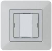 Poussoir ENC kallysto.trend KNX 2×LED RGB s/e-link gris clair