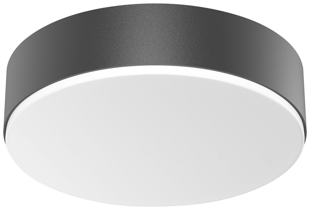 LED-Deckenleuchte Steinel RS PRO A20 HF 12.4W 1514lm 4000K IP54 DIM anthrazit