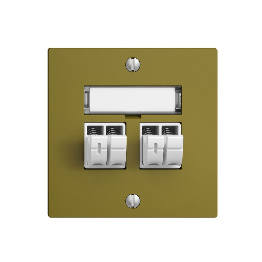 Prise audio Push Type EDIZIOdue F, 2×, kit d'inscription, olive