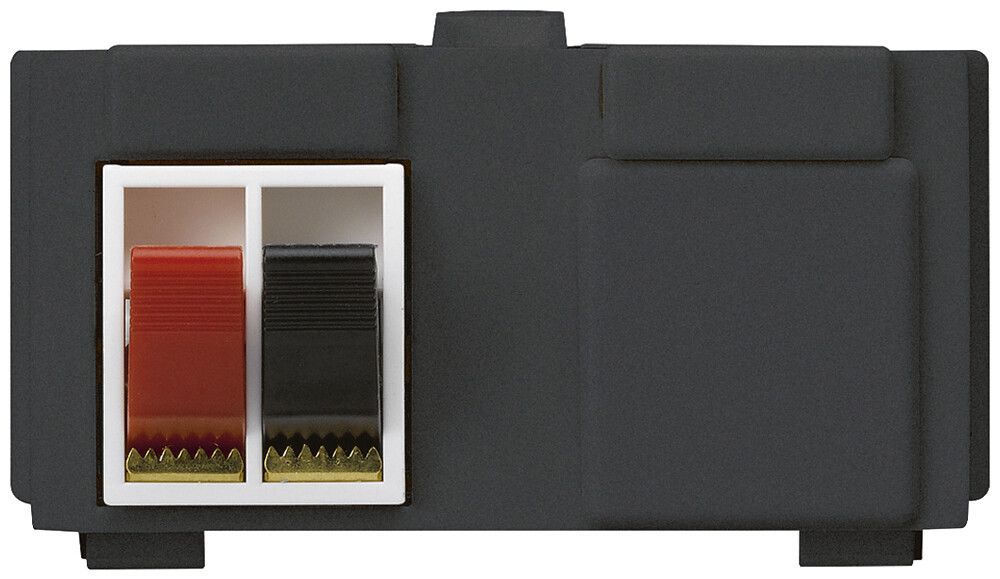 Modulo multimedia M3 con 2×LS morsetti rosso/ne kallysto nero