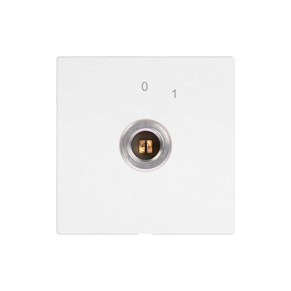 Schlüsselschalter EDIZIO.liv 1P Vierkant/Schlitz 20A 690V 0-1 Rückzug ws