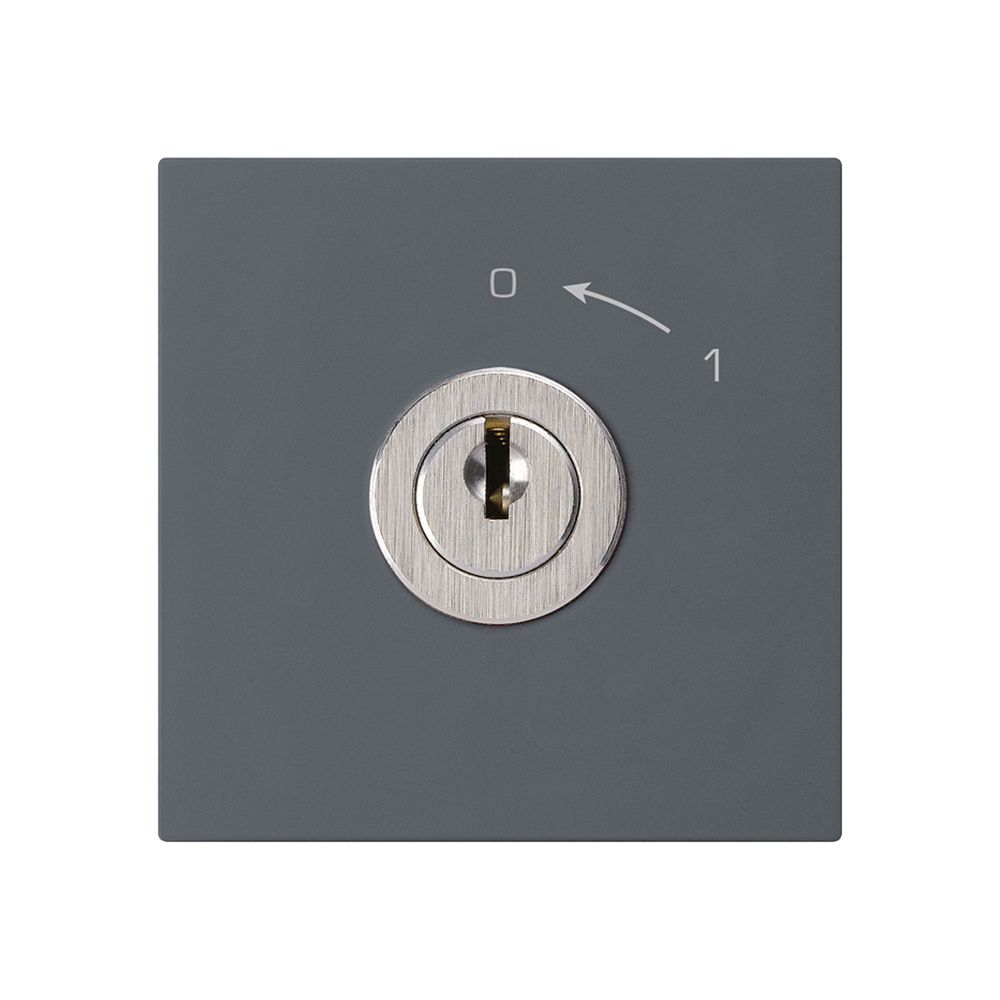 Schwenktaster 0<-1/1L anthrazit kallysto mit Schloss Kaba 8