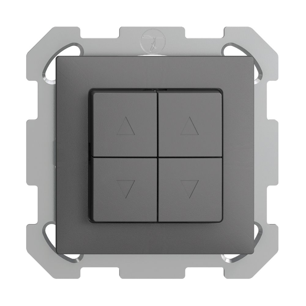 UP-Storentaster EDIZIOdue FM dunkelgrau 2-Kanäle