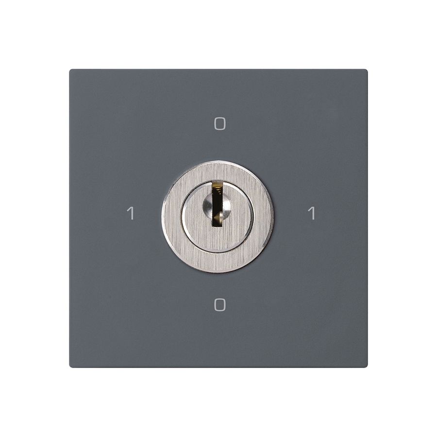 Einsatz zu Schlüsselschalter kallysto 0/2L anthrazit mit Schloss Kaba 8