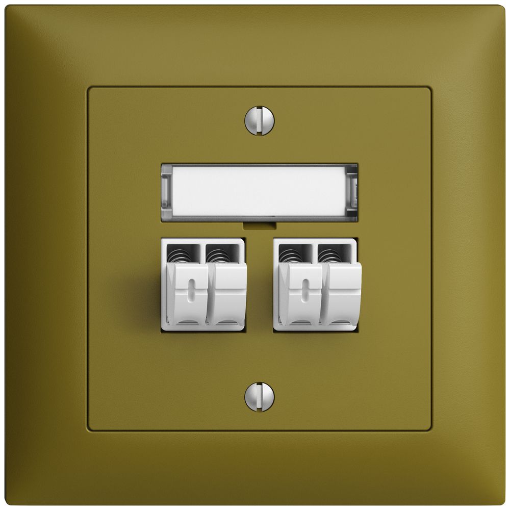 UP-Audiodose Push Type EDIZIOdue FMI, 2×, Beschriftungsset, olive