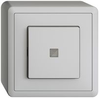 AP-Leuchtdruckschalter EDIZIOdue 3/1L hellgrau, mit Linse, KS, LED gelb