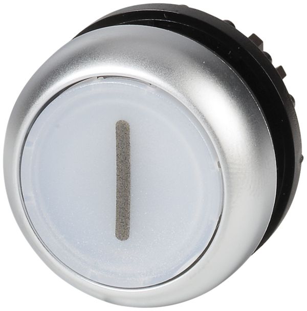 Leucht-Drucktaste ETN RMQ flach weiss I, rastend, Ring verchromt