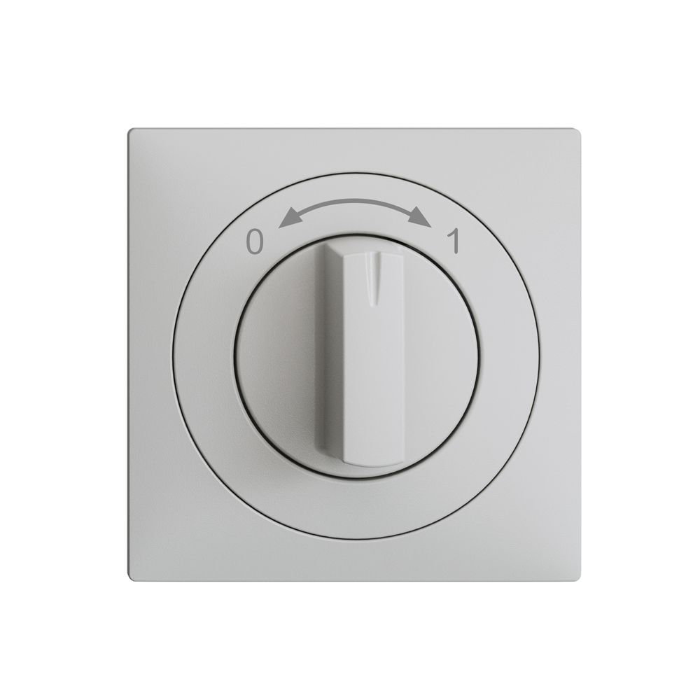 Frontset EDIZIOdue 0<->1 hellgrau 60×60mm für Schwenktaster