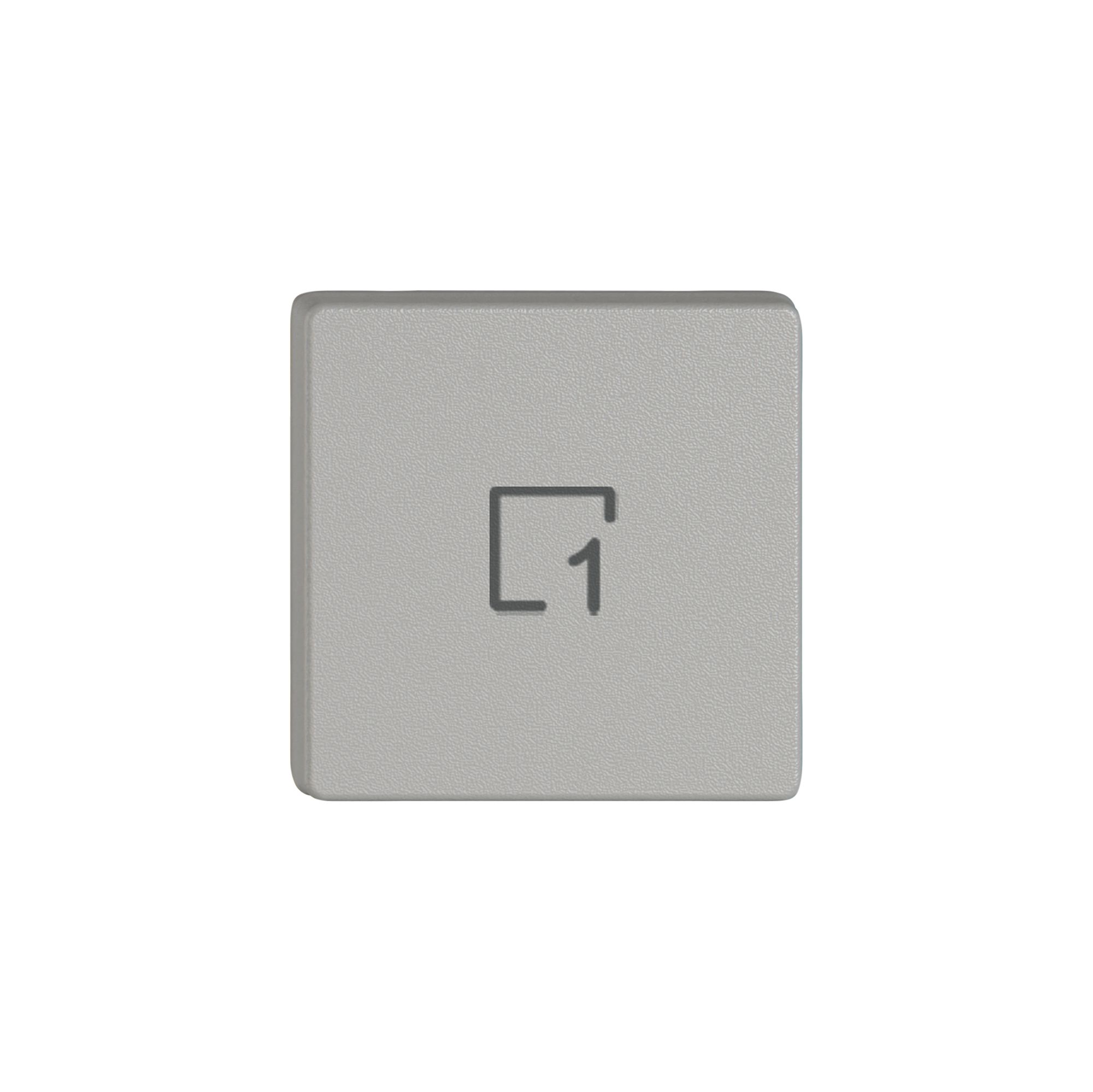 Poussoir 1/4 EDIZIO.liv Wiser avec SNAPFIX® avec symbole scène 1 grc