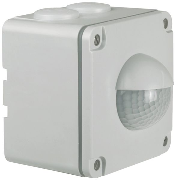 AP-Bewegungsmelder Swiss Garde 300 IP55, grau