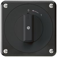 UP-Schwenktaster robusto IP55 schwarz 1P