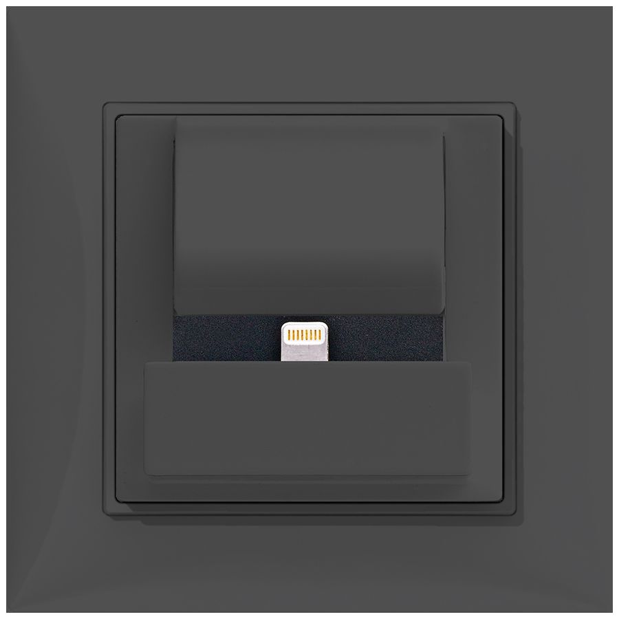 UP-Docking-Station ABB Sidus PowerDock LC, m.Apple lightning, anthrazit