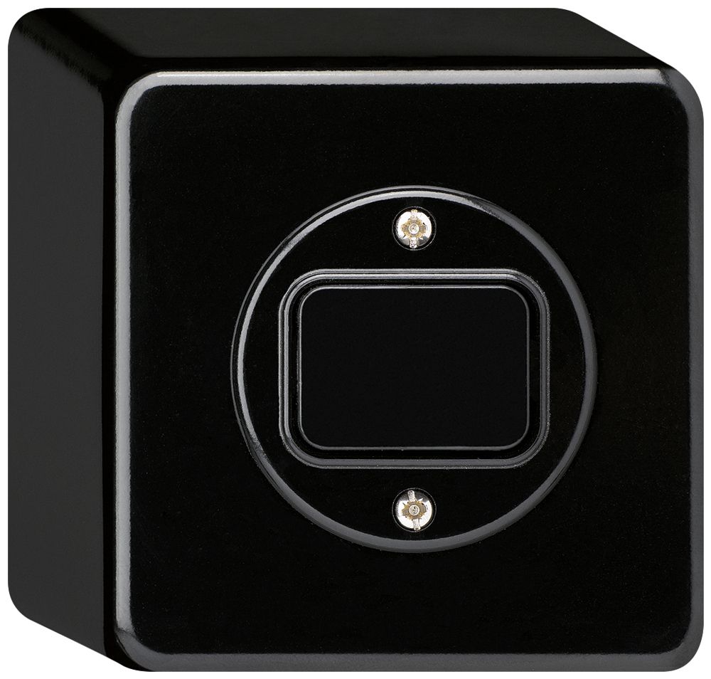 AP-Druckschalter basico 6/1L schwarz