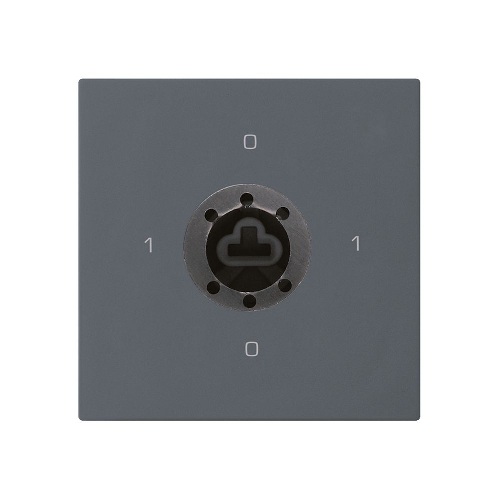 Intérieur interrupteur à clé kallysto 0/3L anthracite serrure sûreté s.cylindre