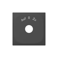 Plaque frontale SIDUS avec gravure anthracite