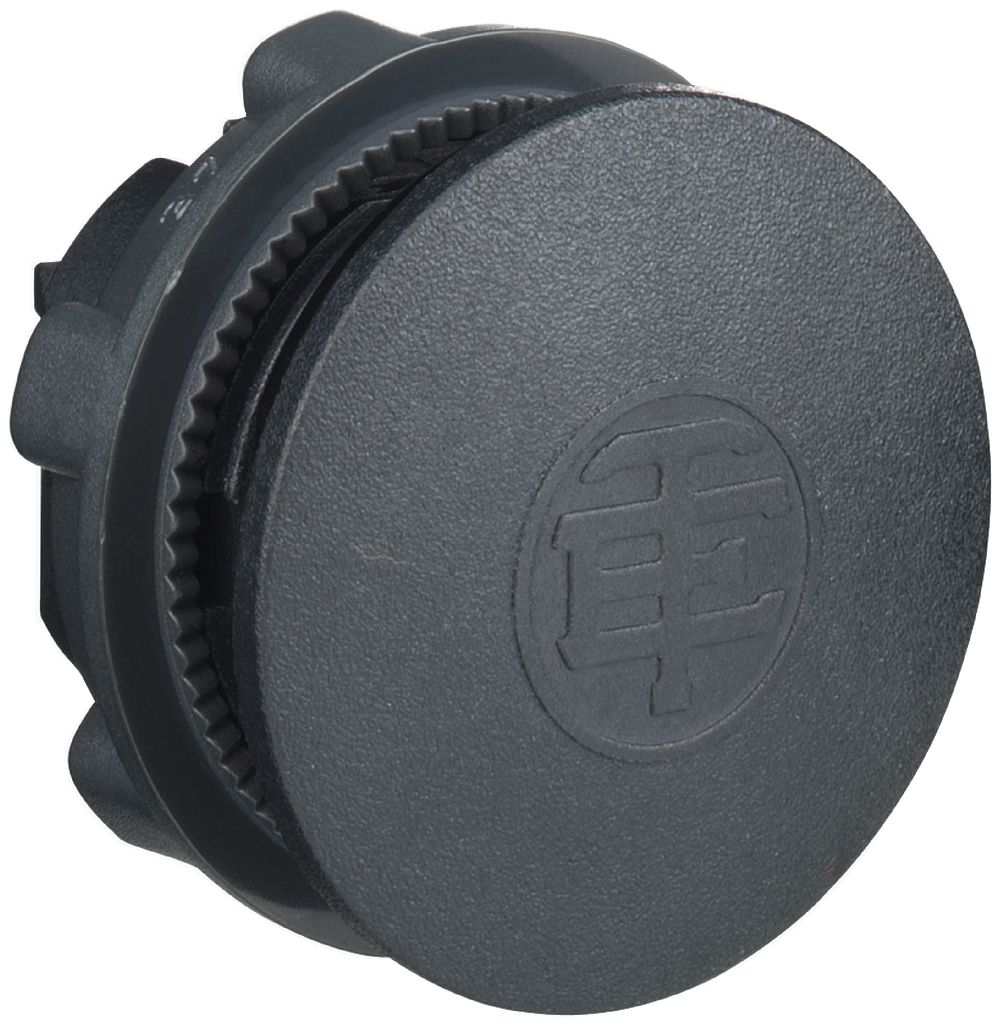 Verschlusszapfen Schneider Electric DIA 22