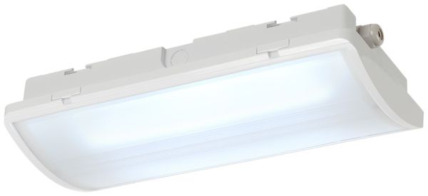 LED-Notleuchte SLV P-LIGHT, 6.5W 100lm 6000K IP65 weiss