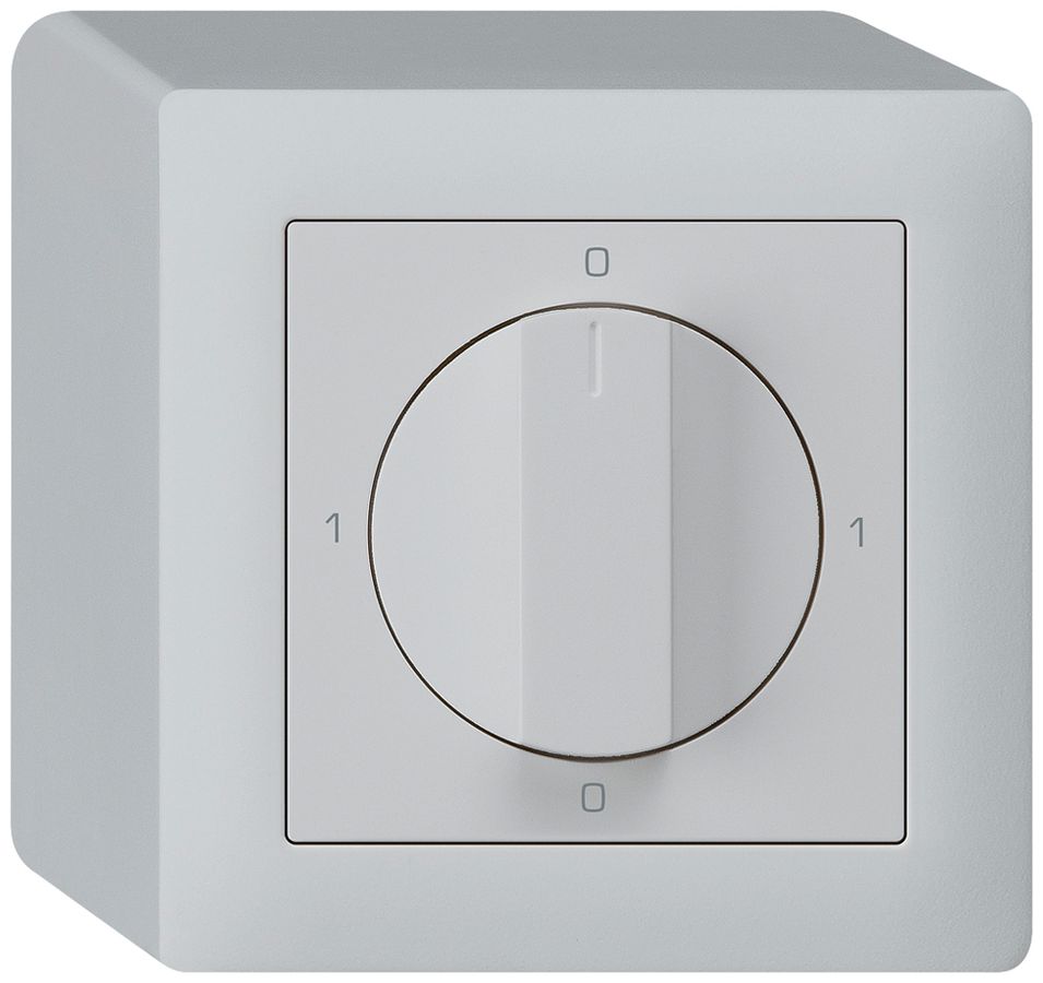 AP-Drehschalter kallysto 0/1L hellgrau mit Drehgriff
