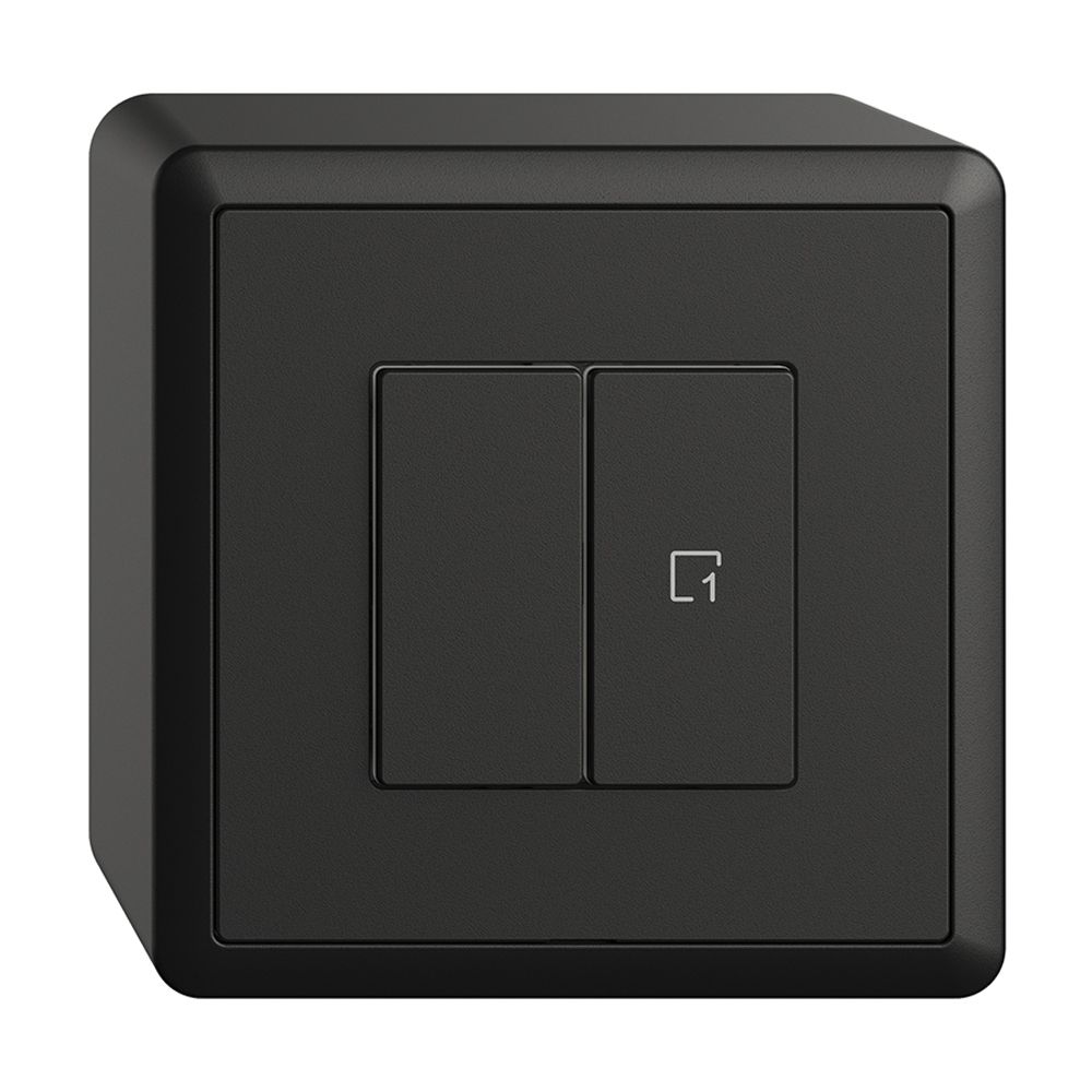 Station secondaire pour interrupteur AP 1c/2t scène WLAN Edue Wiser noir