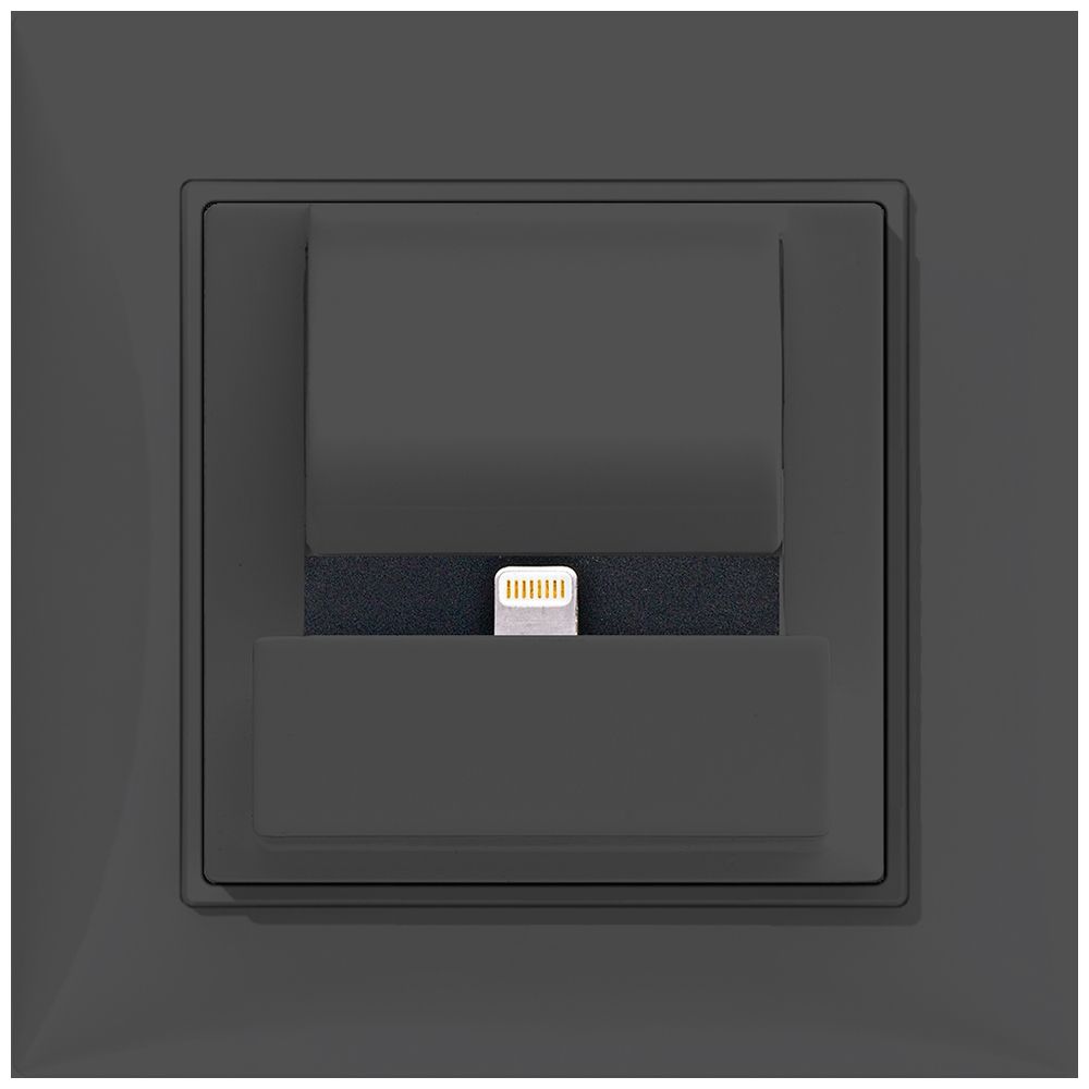 UP-Docking-Station ABB Sidus PowerDock LC, m.Apple lightning, anthrazit
