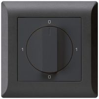 UP-Drehschalter kallysto.line 0/3L schwarz mit Drehgriff