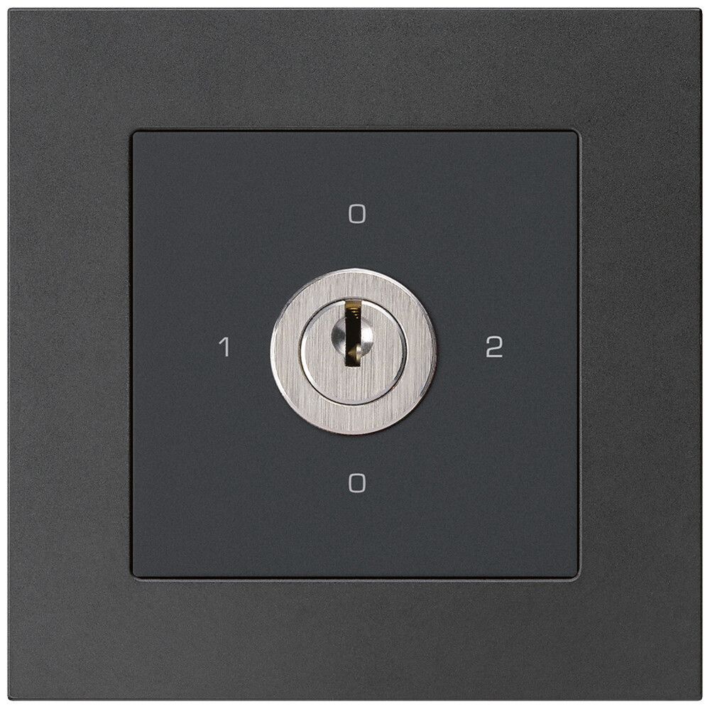 UP-Drehschalter kallysto.pro 2/1L schwarz mit Schloss Kaba 8