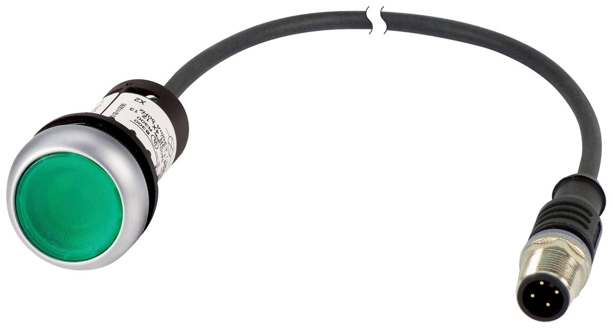 Pulsante luminoso Eaton C22-DL-G-K10-24-P1 piatto verde Ø22.5mm 1NO IP67/IP69K